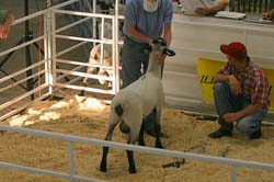 IMG_3030